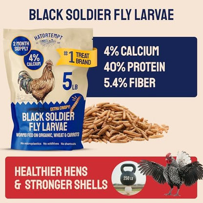 Hatortempt 5lb Black Soldier Fly Larvae for Chickens, Calci Chicken Treats