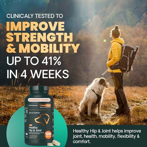 VetriScience Healthy Hip & Joint Tablets for Dogs, Chicken, 120 Count