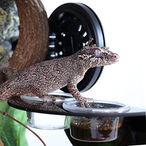 AIICIOO Gecko Feeder Ledge with 6 Pack Plastic Bowls Crested Gecko Food Dish Strong Magnetic Reptile Food Feeder Water Dish for Chameleon Bearded Dragon Tank Accessories