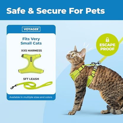 Voyager Escape-Proof Step-in Lock Cat Harness & 5ft Neoprene-Handle Leash Set All-Weather Mesh with Reflective Stitching for Small to Large Cats by Best Pet Supplies, Lime (327), XXS