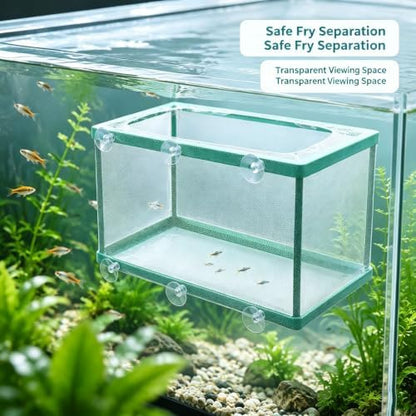 Xiaoyztan Aquarium Breeder Box with Suction Cups for Baby Fish