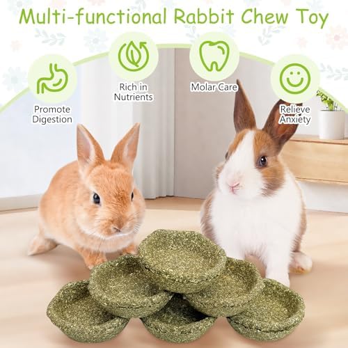 12 Pack Rabbit Chew Toys for Teeth Timothy Hay Chewing Bowl