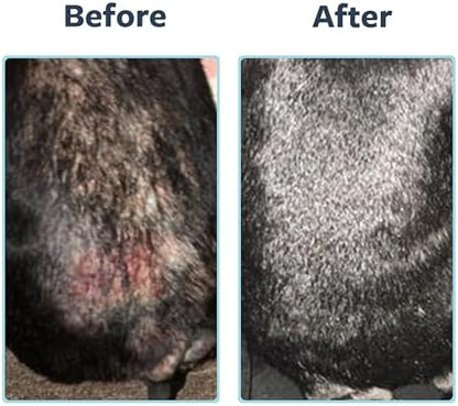 Veterinary Formula Clinical Care Antispetic and Antifungal Shampoo and Spray