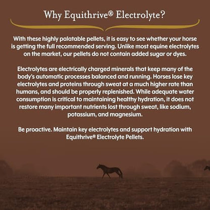Equithrive Electrolyte Pellets Horse Supplement, 4 lbs, 20 Day Supply