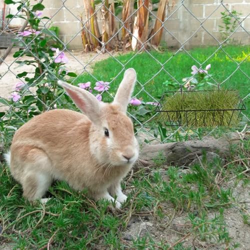 6 Pack Hay Feeder Rabbit with Hooks Heavy Duty, 9x4x3 Inch