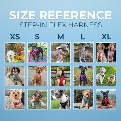 Best Pet Supplies Voyager Adjustable Step-in Flex Breathable Mesh Dog Harness for Small Medium Large Dogs Leash Set (Purple), XL