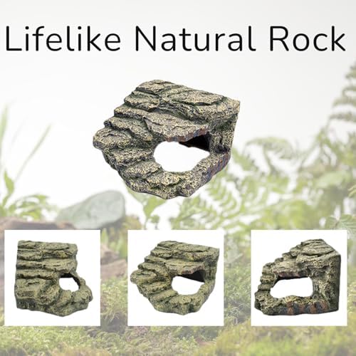 Hide Resin Cave Shelter for Ball Python, Lizard, Leopard Gecko, Bearded Dragon, Terrarium Habitat Decoration (Moss Green, Medium)