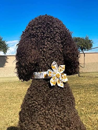 Elegant little tail Sunflower Girl Dog Collar for Female Dogs, Pet Collar Adjustable Dog Collars with Flower Gift for Large Dogs