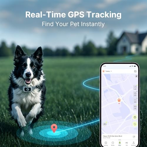 ABBIDOT GPS Tracker for Dogs - Real-Time Pet Tracker with Virtual Fence, Activity Monitor, Location History, Escape Alerts, 3-Mode Night Light, GPS Dog Tracker (Pale Grey)