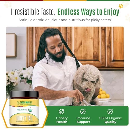 Ziggy Marley's USDA Organic Turkey Tail Mushroom Powder for Dogs & Cats – Support Immunity & Digestion – Fruiting Body Extract, 90 Grams
