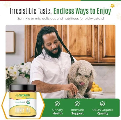 Ziggy Marley's USDA Organic Turkey Tail Mushroom Powder for Dogs & Cats – Support Immunity & Digestion – Fruiting Body Extract, 90 Grams