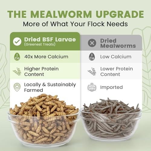 Black Soldier Fly Larvae for Chickens & Ducks – 2lb Dried Worms & Grubs – High Protein & Calcium Mealworms Alternative – Dried Black Fly Larvae – Non-GMO, Farmed in North America