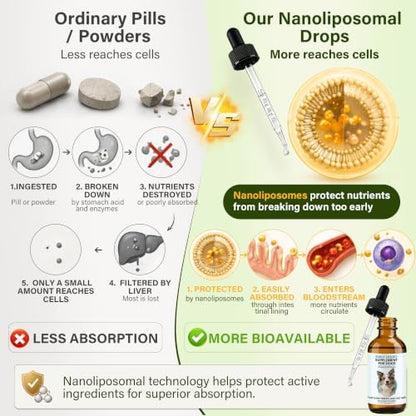 Longevity Supplement for Dogs, Senior Dog Supplements with NMN, NAD+, CoQ10 & Resveratrol - Nanoliposomal Liquid Drops for Joint Support, Heart Health & Healthy Aging - 60ml