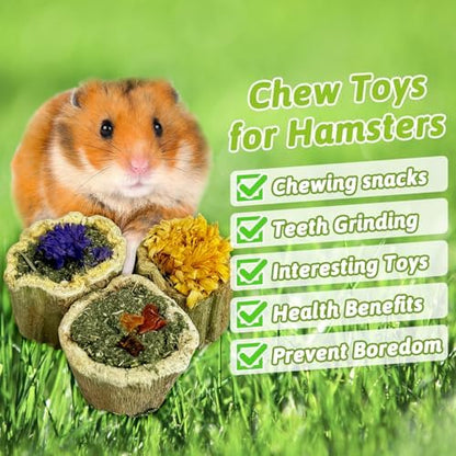 BNOSDM Rabbit Chew Toys for Teeth Natural Papaya Chinchilla Treats(3.5oz)