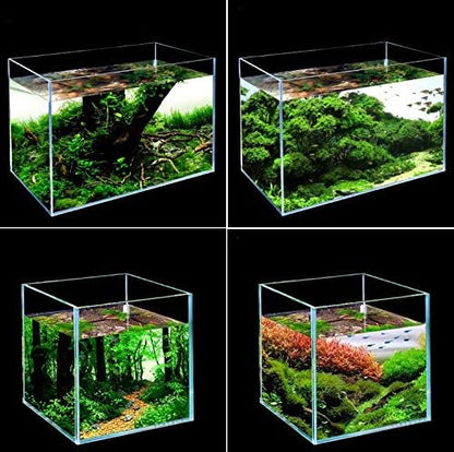 Rimless Low Iron 2.1 Gallon Glass Aquarium Tank 7.8" L × 7.8" W × 7.8" H / 20cm x 20cm x 20cm, 5mm Thickness Standard Jointed
