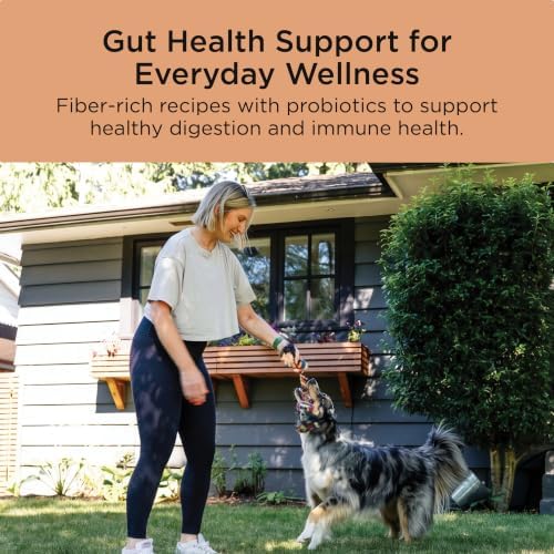 Go! Solutions Digestion + Gut Health Salmon Dry Dog Food, 22 lb