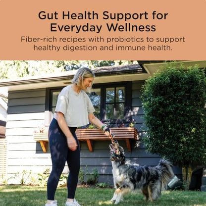 Go! Solutions Digestion + Gut Health Salmon Dry Dog Food, 22 lb