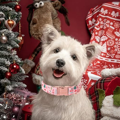 Christmas Dog Collar for Small Dogs - Adjustable Pink Christmas Collars for Dogs with Cute Santa&Tree Print, Heavy-Duty Winter Cotton Puppy Collar with Metal Buckle S