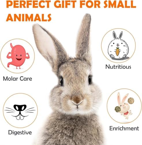Sofier 16Pcs Timothy Hay Treats - Natural Chews for Teeth - Handmade Rabbit, Chinchilla, Gerbil, Rat, Hamster Toys - Bunny & Guinea Pig