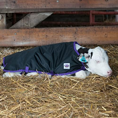 Weaver Livestock Pro Calf Blanket, Small, Black