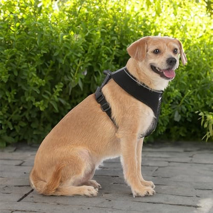 Best Pet Supplies Voyager Aerolite Over the Head Dog Harness, No Pull Breathable Air Mesh Vest, Quick Dry with Reflective Stitching, Adjustable Escape Resistant Harness - Black, Small