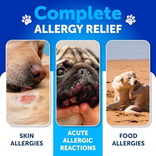 Probiotics for Dogs - 180 Chews - Dog Yeast Probiotic - Dog Probiotics