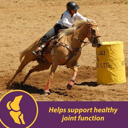 Horse Health Joint Combo Classic, An Unbeatable Joint Combination Supplement for Horses, Cinnamon Apple 8 Pounds