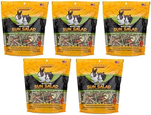Sun Salad For Rabbits