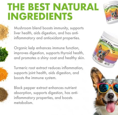 Mushroom Complex Treats for Dogs with Reishi, Shiitake, and Turkey Tail Mushrooms for Cognition and Immune Boosting Supports Digestive Health and Reduces Inflammation DHA EPA Turmeric Kelp (120pcs)