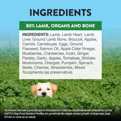 Northwest Naturals Freeze-Dried Lamb Dog Food - Bite-Sized Nuggets - Grain-Free, High-Protein, Human-Grade, Limited Ingredients, All Natural, Nutrient-Dense, Healthy & Nutritious - 12 Oz (Pack of 2)