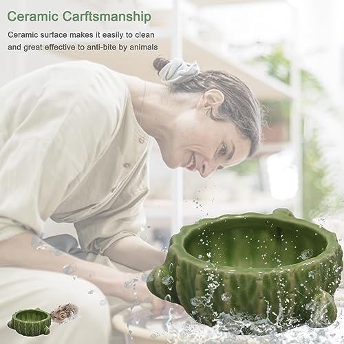 2 Pack Green Cactus Ceramic Hamster Food Bowl Anti-Tip Water Dish