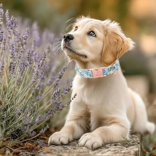 Blueberry Garden Dog Collar, Spring/Summer Cottagecore Floral Dog Collars, Adjustable Heavy Duty Girl Dogs Collar for Small Medium Large Dogs with Metal Buckle XL