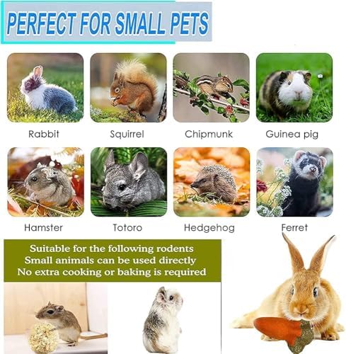 16PCS Guinea Pig Toys, Rabbit Play Balls Rolling, Teeth Care Molar Toys for Hamster Rabbit Guinea Pig Rats Gerbils Hamster Chinchilla Etc