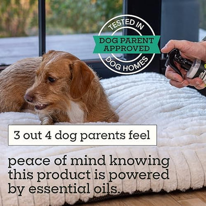 Pet Life Unlimited Flea & Tick Spray for Home, 16 oz, Plant-Based Indoor Prevention and Treatment for Dogs, Kill & Repel Fleas, Ticks & Eggs, Protect Carpet, Furniture & Bedding, (Pack of 6)