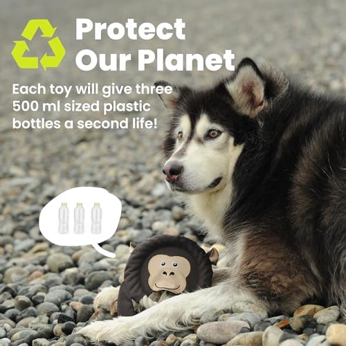 PAWSPIK 2-in-1 Flying Disc & Tug-of-War Dog Toy, Adventurous Ape