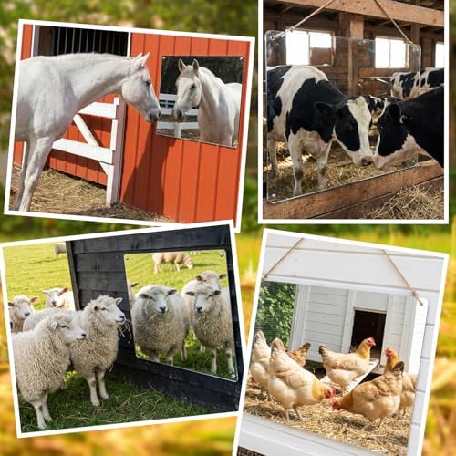 U0U Acrylic Horse Mirror,Safe Horse Toys for Horses to Play with,16.92x12.99 inch Stable Mirror for Horses to Play and Horse Enrichment Toys (16.92 x 12.99 inches/1pcs)