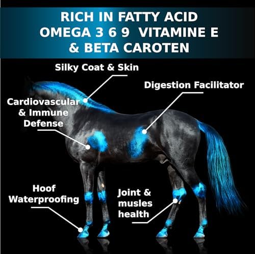 Equine & Horse Oil Supplement 3 Natural Oils Flaxseed Sunflower Carrot Omega 3 6 9 Vitamin E Silky Coat & Hoof Digestion Facilitator Joint Health Cardiovascular System Benefits-Pump Included