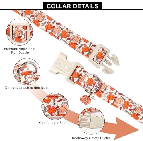 Lionet Paws Fall Dog Collar- Cute Orange Pumpkin White Dog Collars with Plastic Buckle and Pumpkin Pendant, Light Adjustable Dog Collars for Medium Dogs