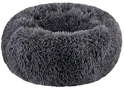 Cat Bed for Indoor Cats,Mini Plush Self Warming Kitten Bed, 20 Inch