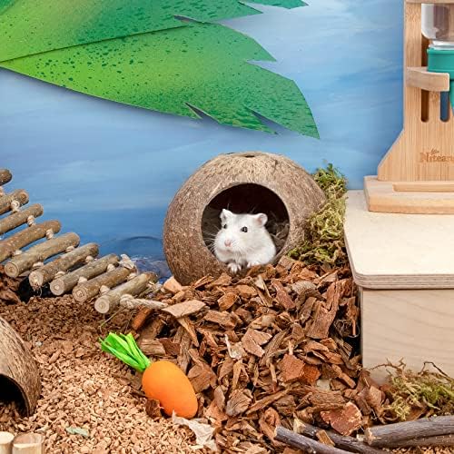 andwe Coconut Hut Hamster House Bed Natural Gerbils Hideout