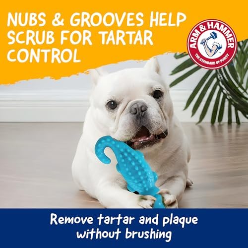 Arm & Hammer Nubbies Gator Dog Dental Chew Toy, Mint Flavor, 24-Pack