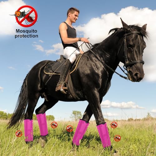 Horse Fly Boots, Breathable Mesh Protection Set of 4, Comfortable Horse Leggings, Breathable Mesh Design, Equine Supplies for Reduce Stomping, Hoof Damage & Leg Fatigue (Rose Red, Medium)