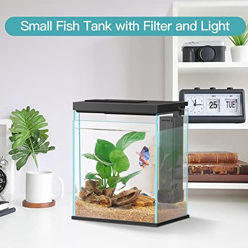 Betta Fish Tank, 2 Gallon Glass Aquarium Starter Kit, Small Fish Tank with Filter and Light.