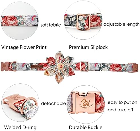 Elegant Little Tail Vintage Floral Dog Collar with Comfortable Adjustable Sizes for Small to Large Dogs