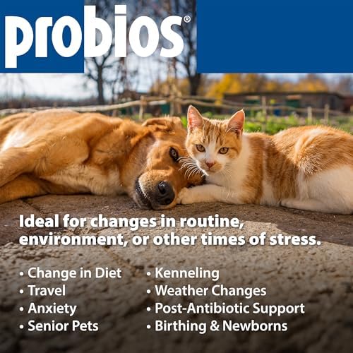 Probios Probiocin Oral Gel for Dogs & Cats, 15 g Tube, 2-Pack