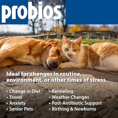 Probios Probiocin Oral Gel for Dogs & Cats, 15 g Tube, 2-Pack