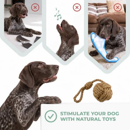 Natural Coffee Wood Slow Chew Dog Toys, 4 Pack, L-XL