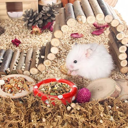 Hacaroa 3 Pack Ceramic Hamster Hideout, Mushroom Shape Guinea Pig Food Bowl Cute Water Bottle with Stand, Cool Hamster Bed House Small Animal Cage Accessories for Dwarf Hamsters, Mice, Gerbils