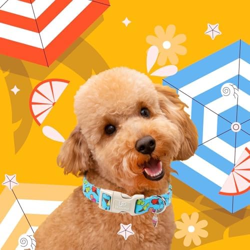 Summer Dog Collar, Colorful Icecream Cotton Dog Collar with Quick Release, Summer Collars for Small Medium Large Boys Dogs, Cute Durable Comfortable Pet Collars