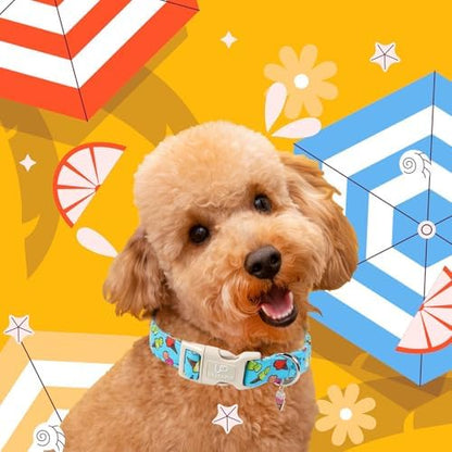 Summer Dog Collar, Colorful Icecream Cotton Dog Collar with Quick Release, Summer Collars for Small Medium Large Boys Dogs, Cute Durable Comfortable Pet Collars